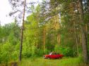 PICT1000_1_[50%]_[50%]~0.JPG