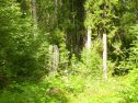 PICT1045_[50%]_[50%].JPG