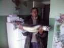 Файл=Photo-0085.jpg
Объём=114KB
Размеры=800x600
Дата=Май 24, 2009 Photo-0085.jpg