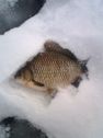 Файл=IMG0169A.jpg
Объём=31KB
Размеры=240x320
Дата=Окт 26, 2009 IMG0169A.jpg