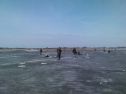 Файл=DSC_0014.jpg
Объём=344KB
Размеры=2048x1536
Дата=Апр 14, 2010 DSC_0014.jpg